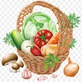 VegBuket logo