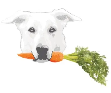 VEGDOG logo