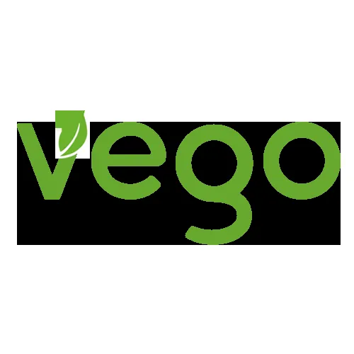 vego logo