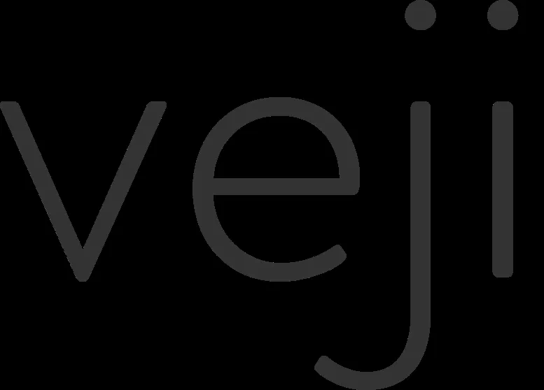 Veji Holdings logo