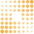 Veles Software logo