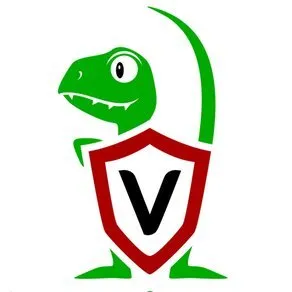 Velocidex Enterprises logo