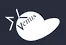 Venustech logo