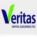 Veritas Kapital logo