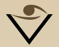 SOCOTEC US logo