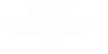 VertiFly
