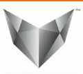Verve Security Services