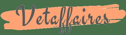 Vetaffaires logo