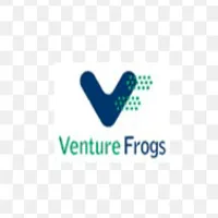 Venture Frogs logo