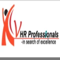 VHR Professional Services