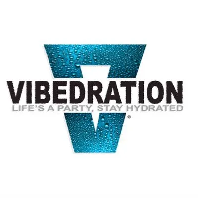 Vibedration logo