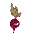 Victus Catering logo