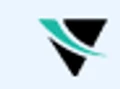 VIDENT
