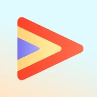 VideoWise logo