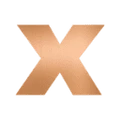 VIDI-X logo