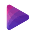 VidVoices logo