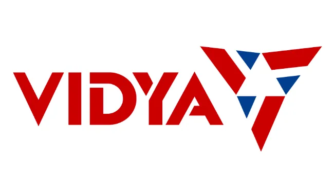 Vidya Wires