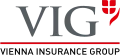 VIG logo