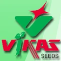 Vikas Hybrid Seeds