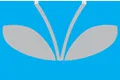 Vikas Group