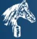 Village Realty logo