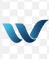 Villane Ward Insurance logo