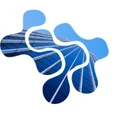 Vipsa Talent Solutions