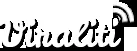 Viraliti logo