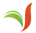 Virtual Saas