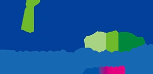 Virtualex Consulting logo