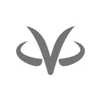 VirtualZ Computing logo