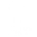 Virtus Media Group logo