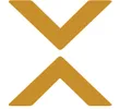 Vis Capital logo