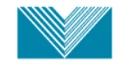 Visconsi logo