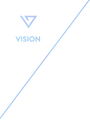 Vision Production Group logo