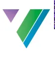 Vision Greens logo