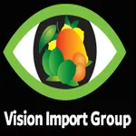 Vision Import Group logo
