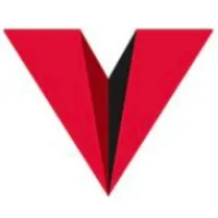 Vision Integrated Graphics Group logo