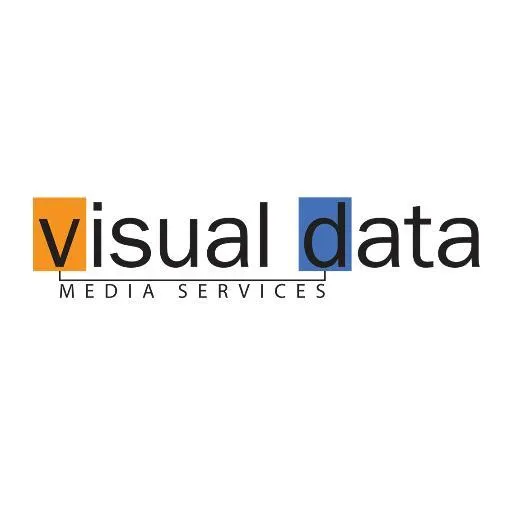 Visual Data logo
