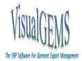 VisualGEMS