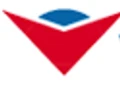 Vitasys logo