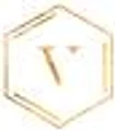 Vitivinci logo