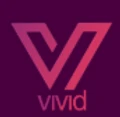 Vivid Search Group logo