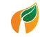 VKG Elektrivorgud logo