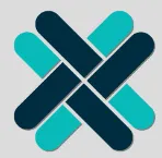 VL E-Governance