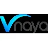 Vnaya