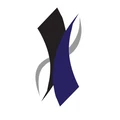 VNV Advisory logo
