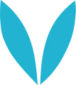 Voice Data logo