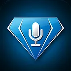 Voicegem logo