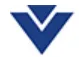 Vokus Personal logo